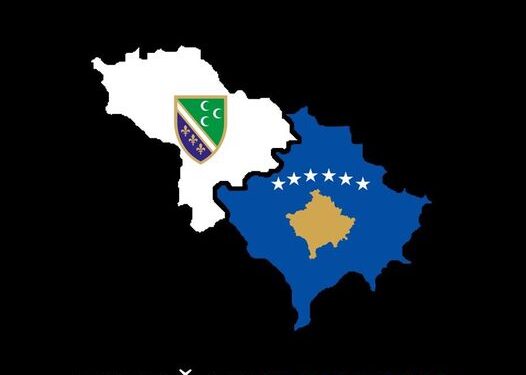 Gnusne insinuacije koje širi nekoliko plaćenih botova iz Novoga Pazara