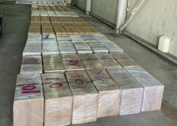 Kapet mbi 2 ton drogë në Malin e Zi në kamionin me targa shqiptare