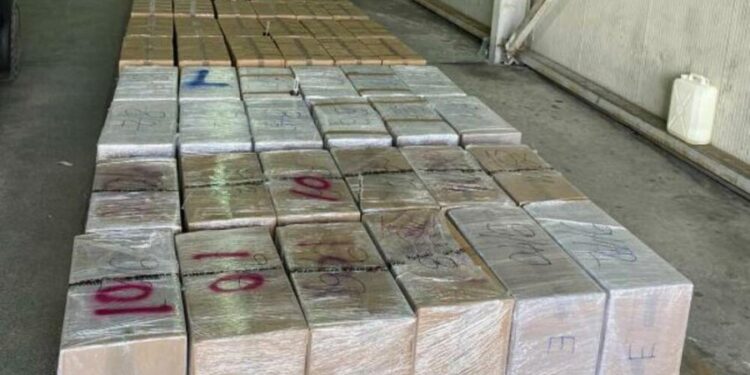 Kapet mbi 2 ton drogë në Malin e Zi në kamionin me targa shqiptare