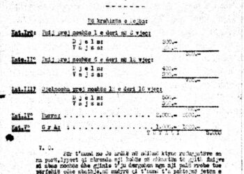 Dokument: Statistikë mbi refugjatët të zonës së tretë të Bihorit