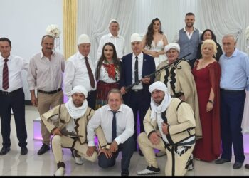    DASMA ME PLISA TË BARDHË