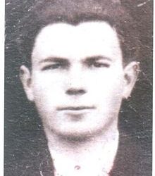 Prita në Bistricë ( VI)