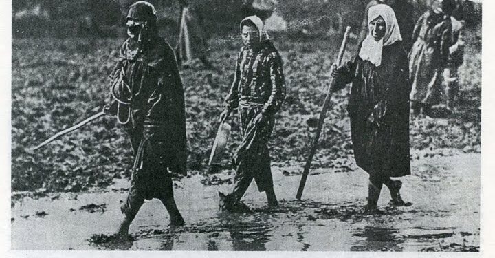 Dy dokumente të vitit 1935, që i paraprijnë elaboratit të Çubrilloviqit