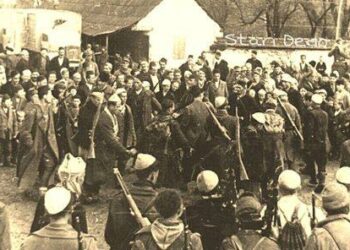 77 vite nga Kuvendi konsultativ i Llaushës