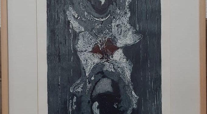 MA. Dafina Maxharraj Shoshi NDERON AMBASADORIN FLAMUR GASHI