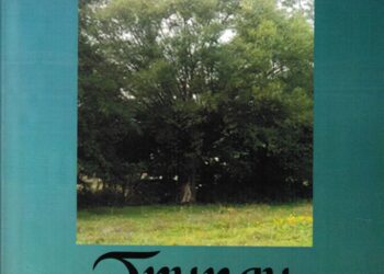 IDEALI ATDHETAR – METAFORË E LIDHUR NYJE
