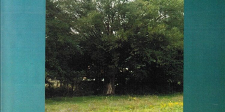 IDEALI ATDHETAR – METAFORË E LIDHUR NYJE