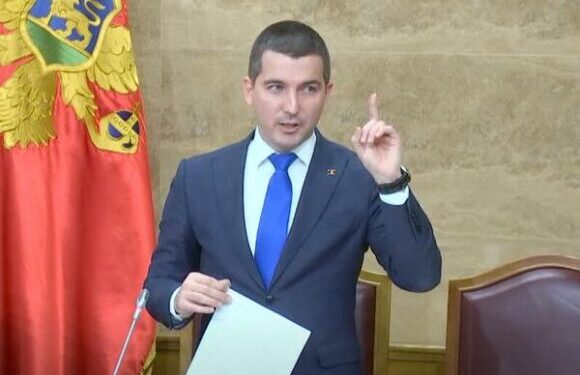 Shkarkohet kryetari i Kuvendit të Malit të Zi, Aleksa Beçiq