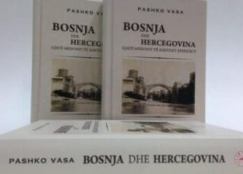 Bosnja dhe Hercegovina në shënimet e Vaso Pashë