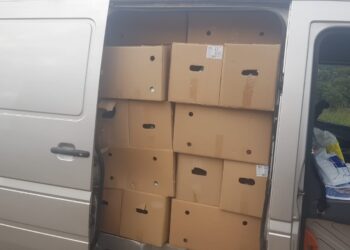 Fondacioni “Amaneti”, për herë të gjashtë përkrah vllezërit në Peshter të Sanxhakut