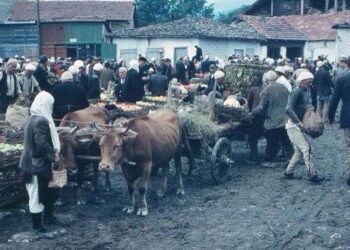 Mulla Malushi: Ju e keni bekimin e zotit, sepse jeni duke i shpëtuar vëllezërit tuaj në Sanxhak!