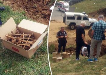 Eshtrat të gjetura në Novi Pazar janë të shqiptarëve dhe boshnjakëve të vrarë në vitin 1945 !