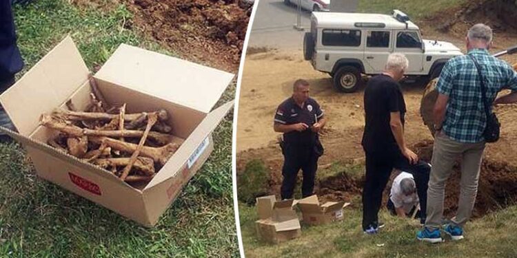 Eshtrat të gjetura në Novi Pazar janë të shqiptarëve dhe boshnjakëve të vrarë në vitin 1945 !