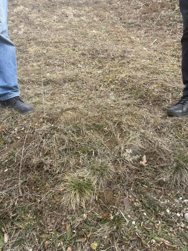 KËRKIME NGA KOSOVA NË BIHOR: VËLLEZËRIT BAJRAKTARI GJETËN VARRIN E GJYSHIT TË TYRE QË RA DËSHMOR PARA  80 VITEVE