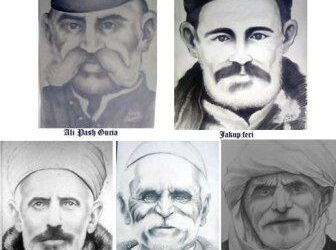 Mbrojtja e Plavës dhe e Gucisë (tetor 1879-janar 1880)