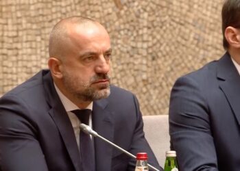 Ekskluzivno: Beogradska bolnica potvrdila Radoičić se liječi na VMA (Audio)