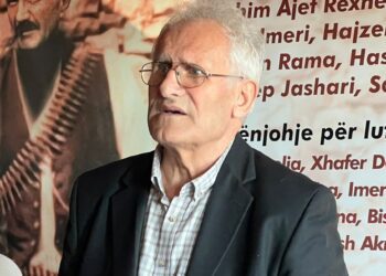 111-VJETORI I SHPALLJES SË PAVARËSISË SË SHQIPËRISË DHE PJESËMARRJA E DELEGATËVE NGA MITROVICA (Rexhep Mitrovica, firmëtar. Isa Boletini, Hajdin Draga)