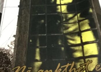 Dëshmi tronditëse mbi Goli Otokun