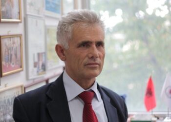 Karakteri politik dhe kombëtar i Lëvizjes së Kryezinjve