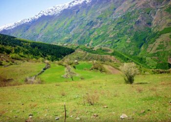 Themeluesit e vendbanimit të Kollovozit 