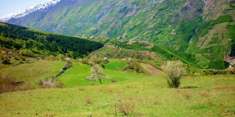 Themeluesit e vendbanimit të Kollovozit