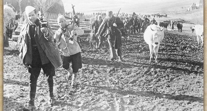 Dokument:  “Rivendikimet shqiptare të mbetun nën Mal të Zi, 1941″