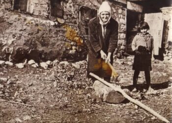 Nëna në ëndërr  (poezi)