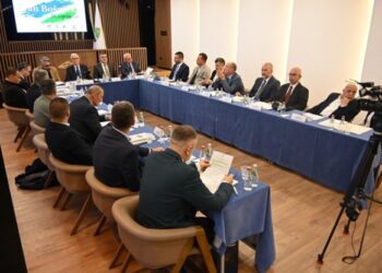 Revizionizmi dhe identiteti boshnjak – mes kujtesës historike dhe sfidave rajonale