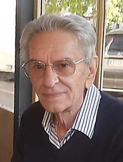 SHEN NËNË ANGJELINA SHPIRTI I SHENJTË ARBËROR (4)