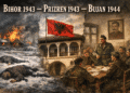 Gjenocidi në Bihor, Lidhja e Dytë e Prizrenit dhe Konferenca e Bujanit: një lexim ndryshe i viteve 1943–1944