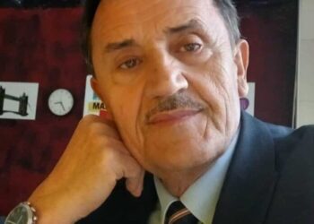 Gjuha si Strukturë dhe Funksion, një Perspektivë Matematikore Semiotike mbi Shqipen