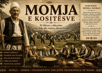 Momja e kositësve